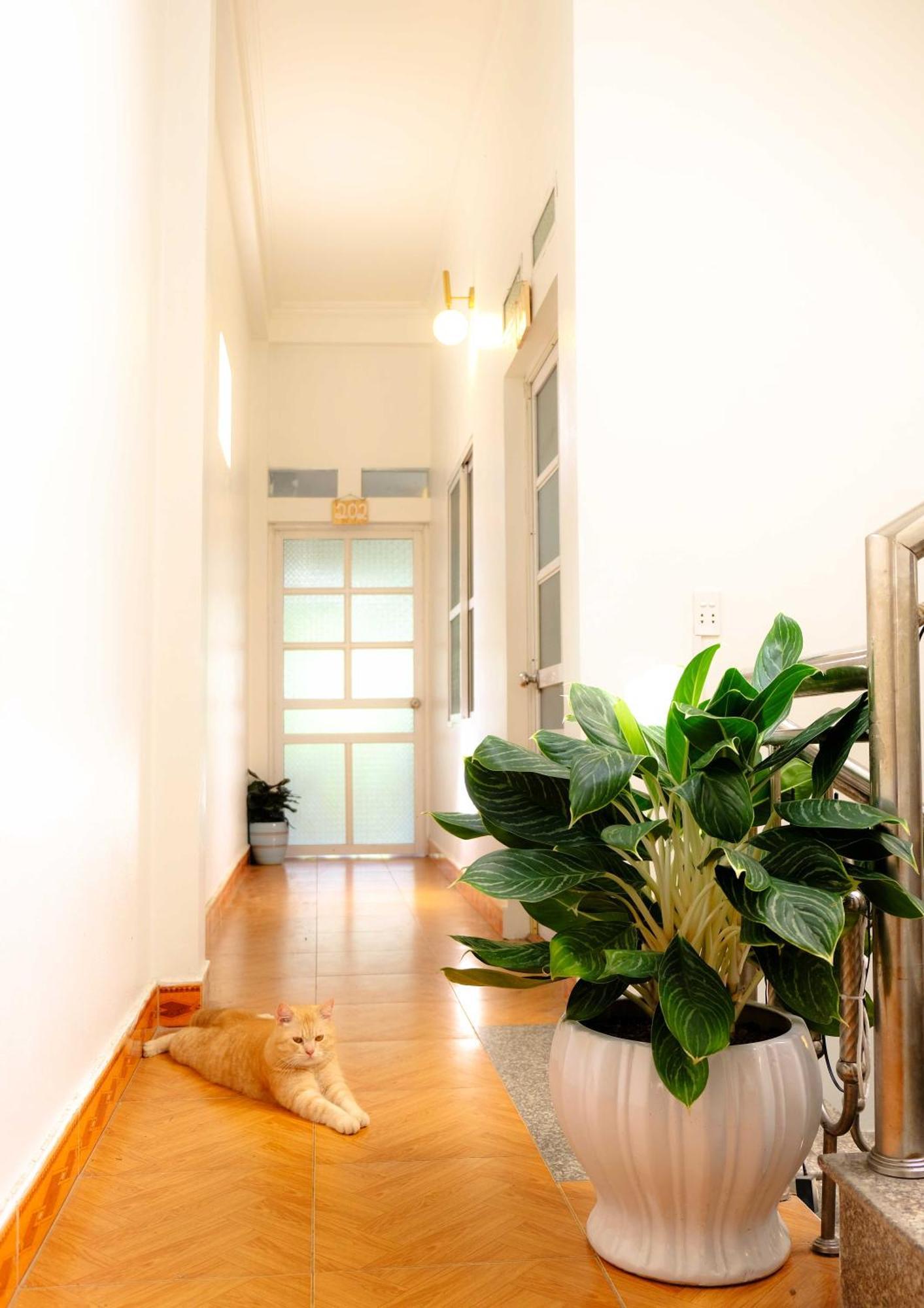 הא גיאנג Lazy Cat Homestay - Motorbikes Rental & Tours מראה חיצוני תמונה