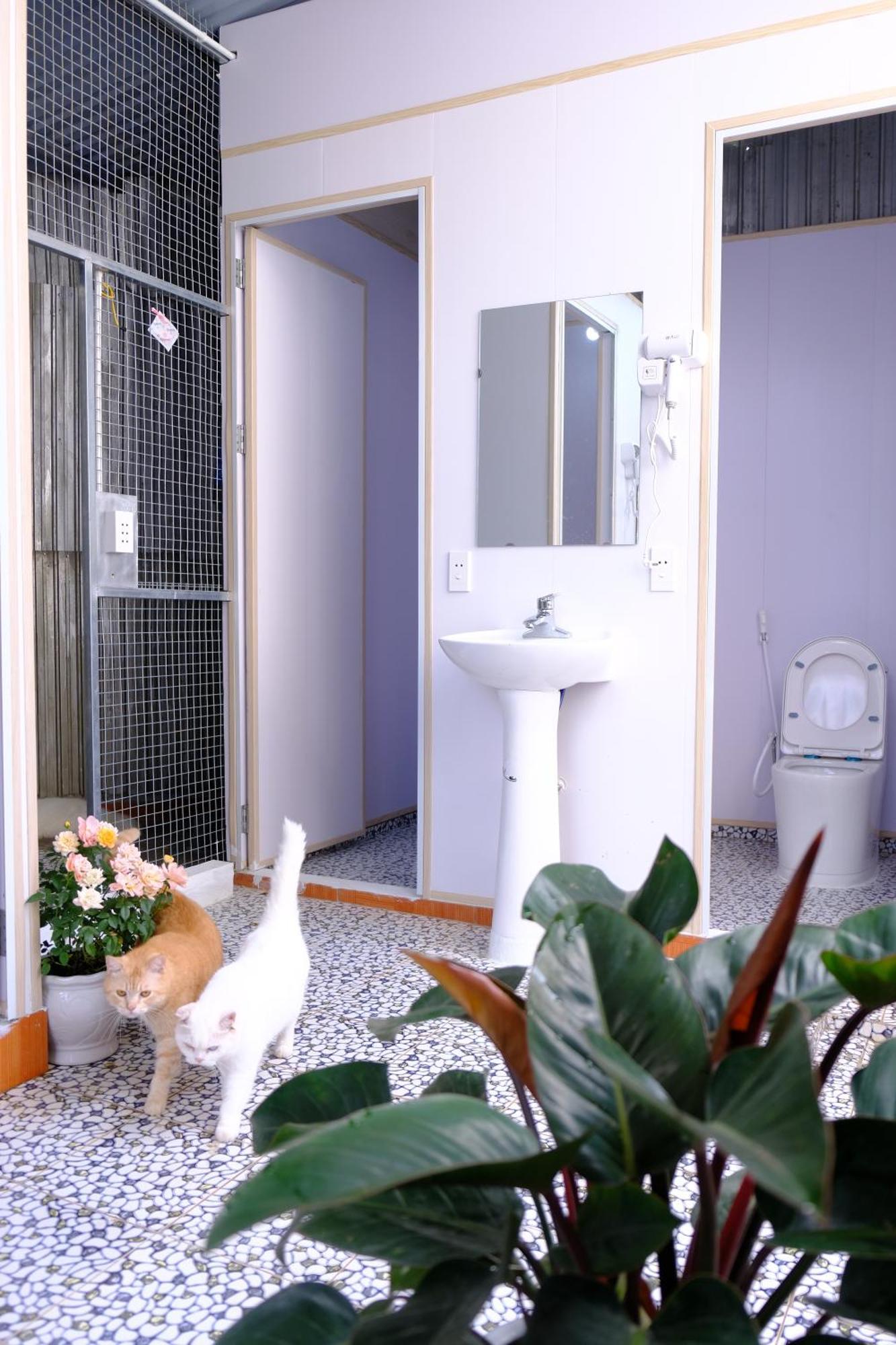 הא גיאנג Lazy Cat Homestay - Motorbikes Rental & Tours מראה חיצוני תמונה